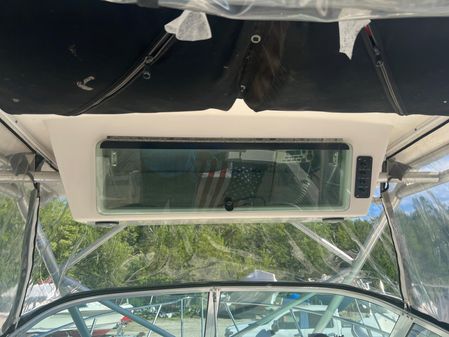 Robalo R235 Walkaround image