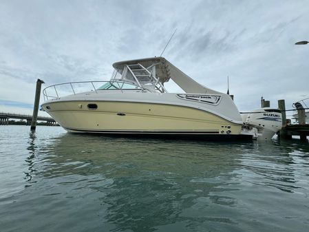 Sea Ray 290 Amberjack image