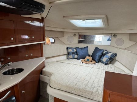 Sea Ray 290 Amberjack image