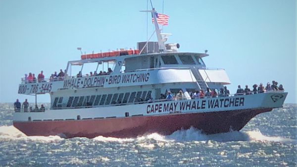 Aluminum boats inc whale watch dinner ferry 