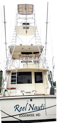 Viking 53 Convertible - main image