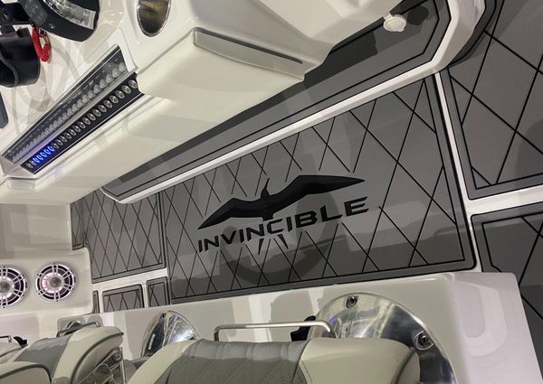 Invincible 46 Catamaran image