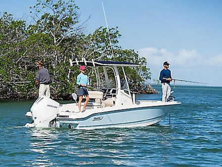 Boston Whaler 220 Dauntless image