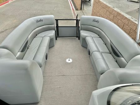 Bentley-pontoons 240-CRUISE image