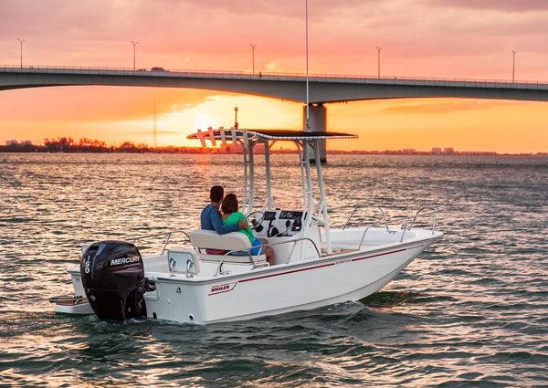 Boston-whaler 190-MONTAUK image