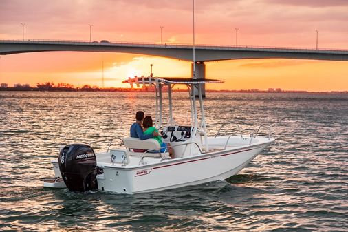 Boston-whaler 190-MONTAUK image