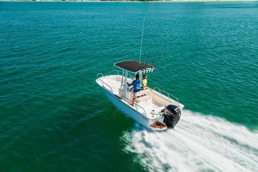 Boston-whaler 190-MONTAUK image