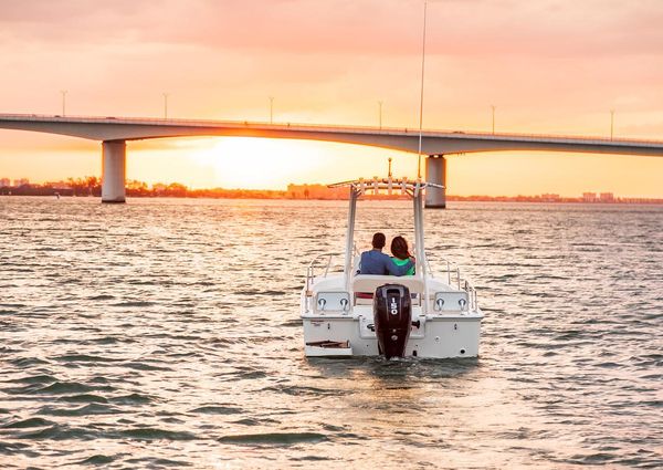 Boston-whaler 190-MONTAUK image