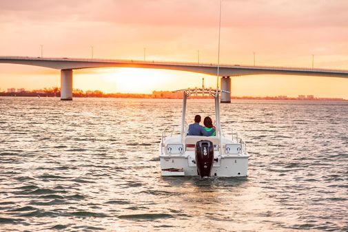 Boston-whaler 190-MONTAUK image