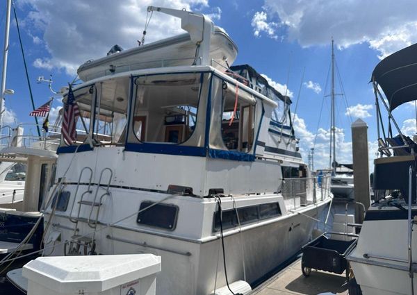 Marine Trader 43 Tradewinds image