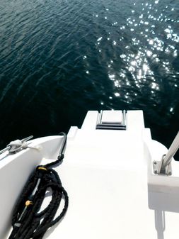 Endeavour Trawler Cat image