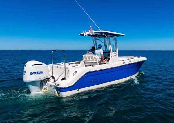 Robalo R242 Center Console image