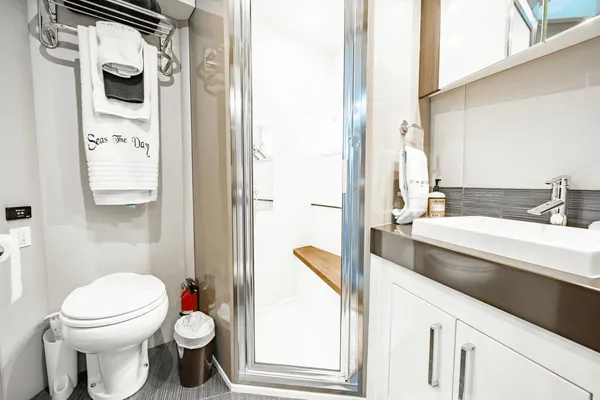 Carver 52 Command Bridge image