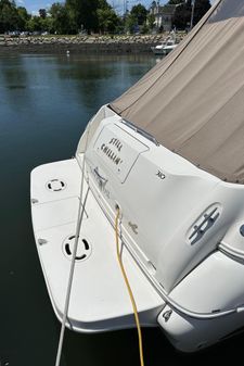 Sea Ray 310 Sundancer image