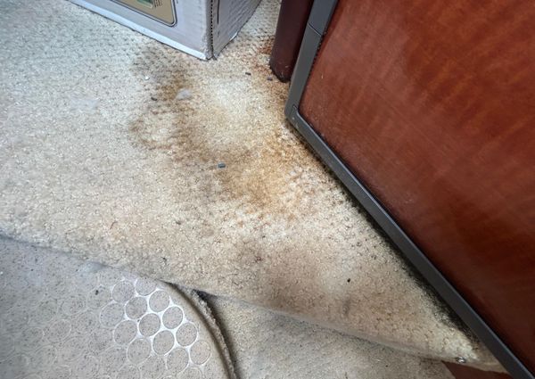 Sea Ray 260 Sundancer image