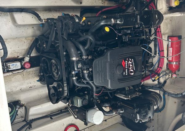 Sea Ray 260 Sundancer image