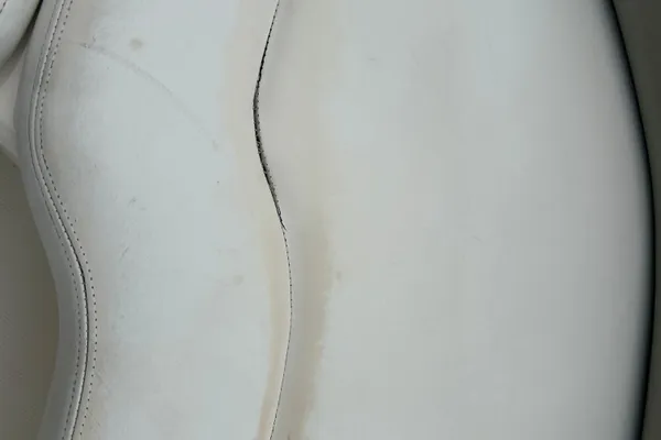 Sea Ray Sundancer 260 image