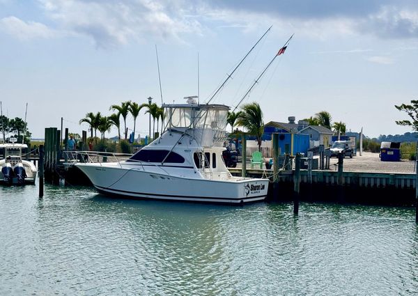 Luhrs 350-TOURNAMENT image