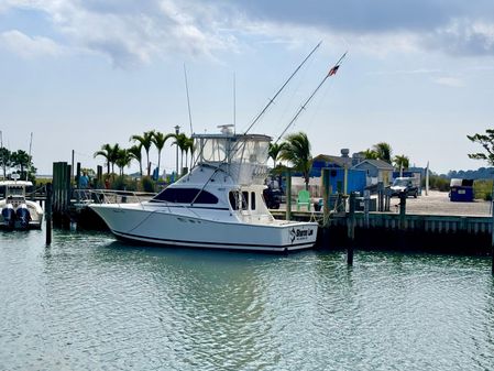 Luhrs 350-TOURNAMENT image