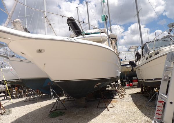 Sea Ray 440 Aft Cabin image