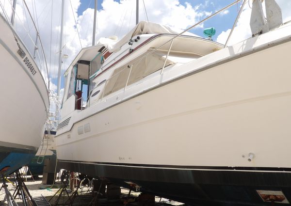 Sea Ray 440 Aft Cabin image