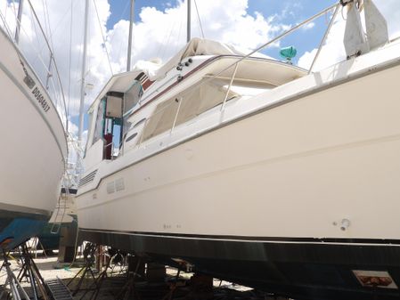 Sea Ray 440 Aft Cabin image