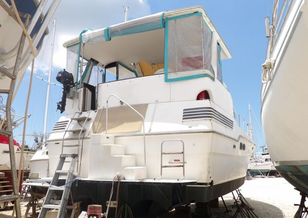 Sea Ray 440 Aft Cabin image