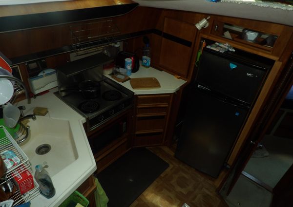 Sea Ray 440 Aft Cabin image