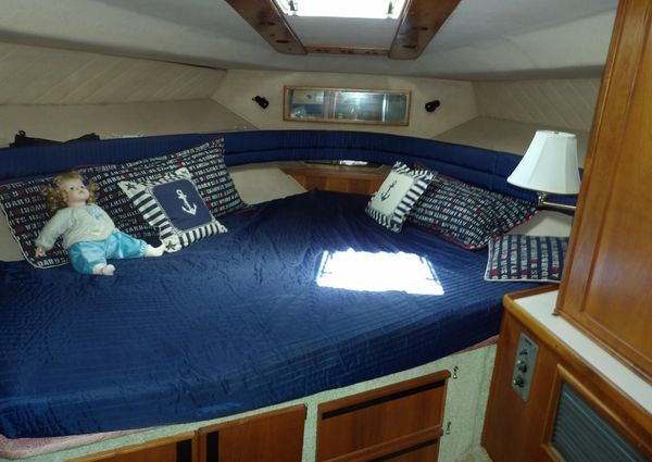 Sea Ray 440 Aft Cabin image