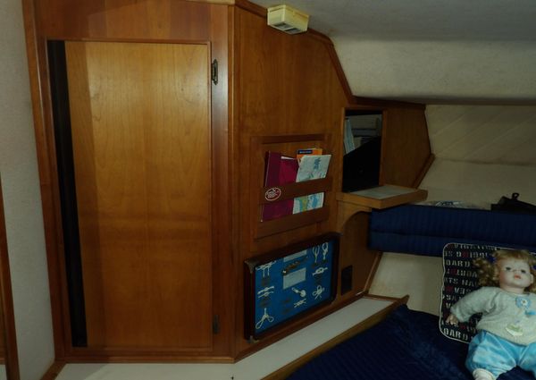 Sea Ray 440 Aft Cabin image