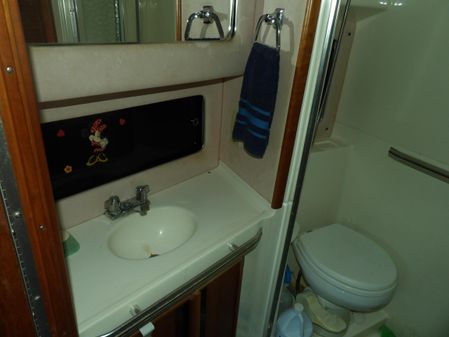 Sea Ray 440 Aft Cabin image