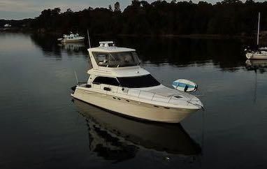 Sea Ray 480 Sedan Bridge image