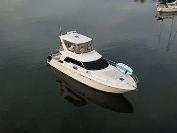 Sea Ray 480 Sedan Bridge image