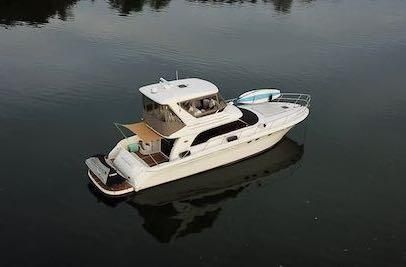 Sea Ray 480 Sedan Bridge image