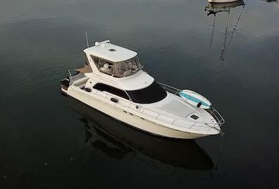 Sea Ray 480 Sedan Bridge image