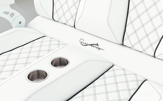 BlackWater 43 Sportfish image