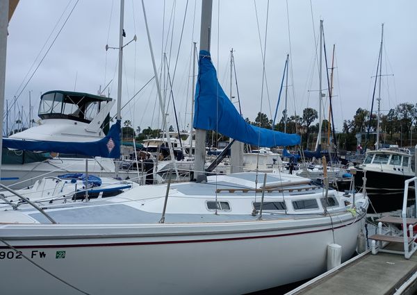 Catalina SLOOP image