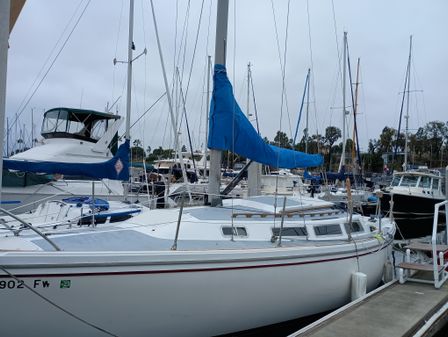 Catalina SLOOP image