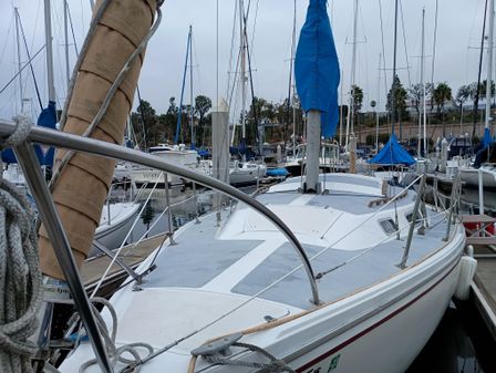 Catalina SLOOP image