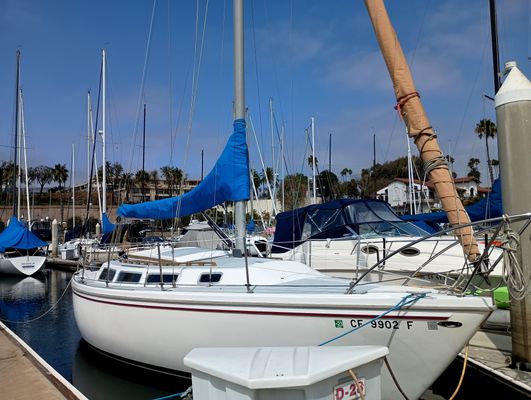 Catalina SLOOP - main image