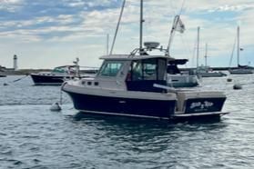 Albin 28 Express Flush Deck 