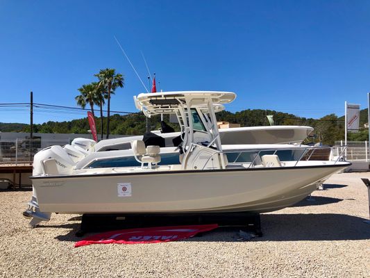 Boston Whaler 210 Montauk - main image