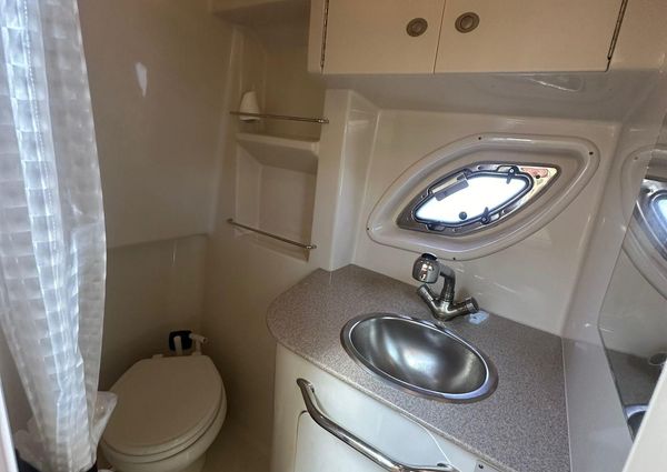 Sea Ray 310 Sundancer image