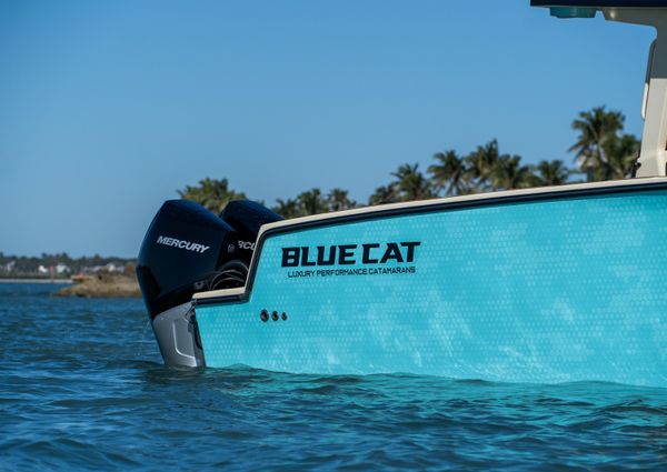 Bluecat 30-BLUECAT image