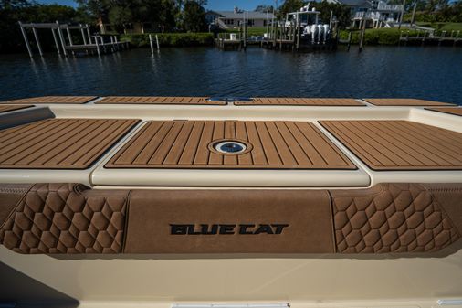 Bluecat 30-BLUECAT image