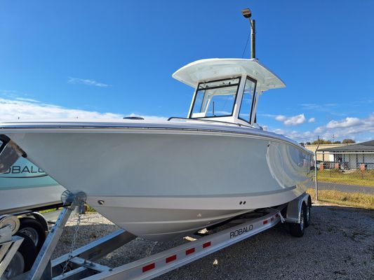 Robalo R250 - main image