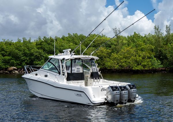 Boston Whaler 345 Conquest image