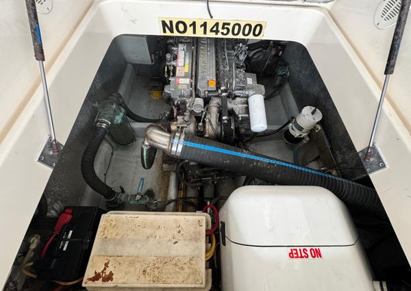 Mainship Pilot 34 image