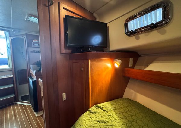 Mainship Pilot 34 image