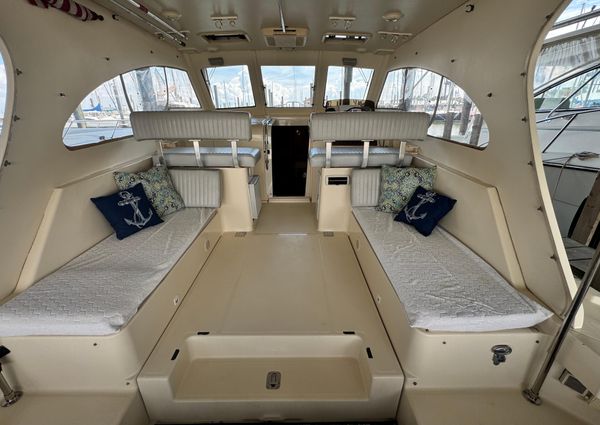 Mainship Pilot 34 image